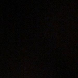 Meet your Posher, Isabella